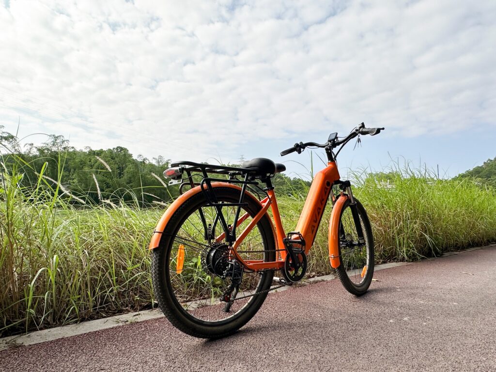 Questa è un'ottima city bike elettrica pensata per i pendolari 1