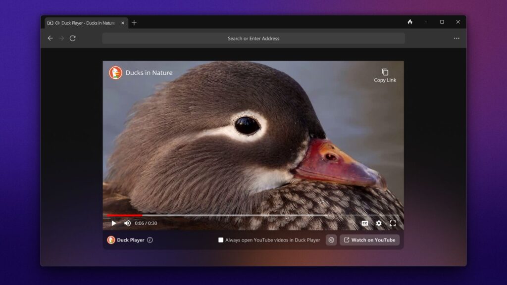 DuckDuckGo per Windows