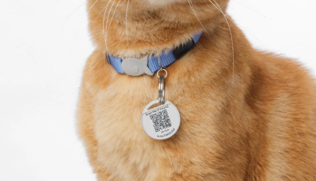 Ring lancia Pet Tag, una medaglietta con QR per ritrovare gli animali domestici 4