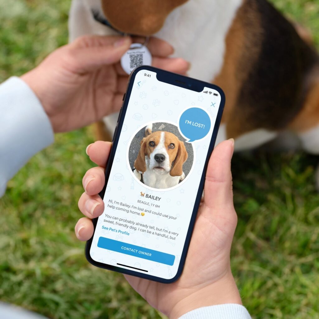 Ring lancia Pet Tag, una medaglietta con QR per ritrovare gli animali domestici 3