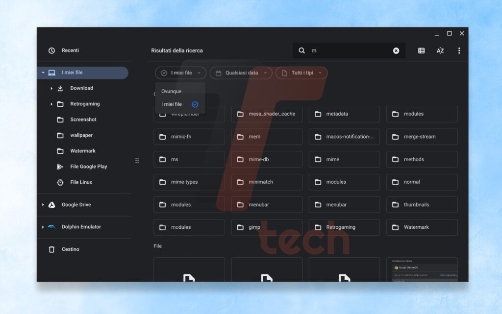 ChromeOS 116 ricerca app File