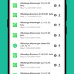 Come scaricare WhatsApp Beta su iOS e Android 3
