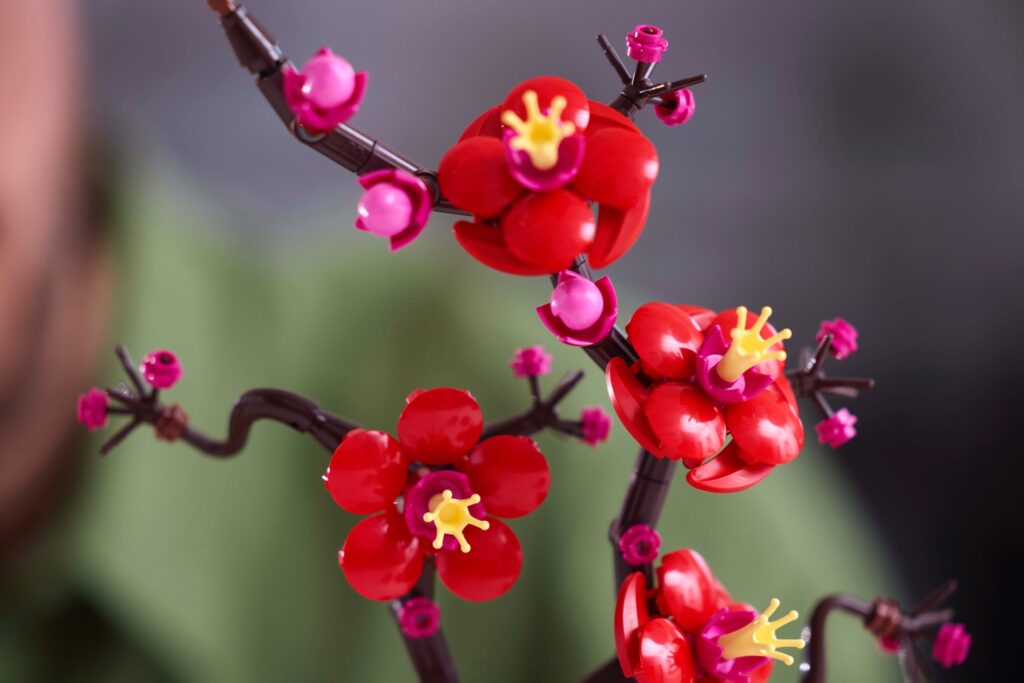 La collezione LEGO Botanical si arricchisce di due nuovi modelli 10