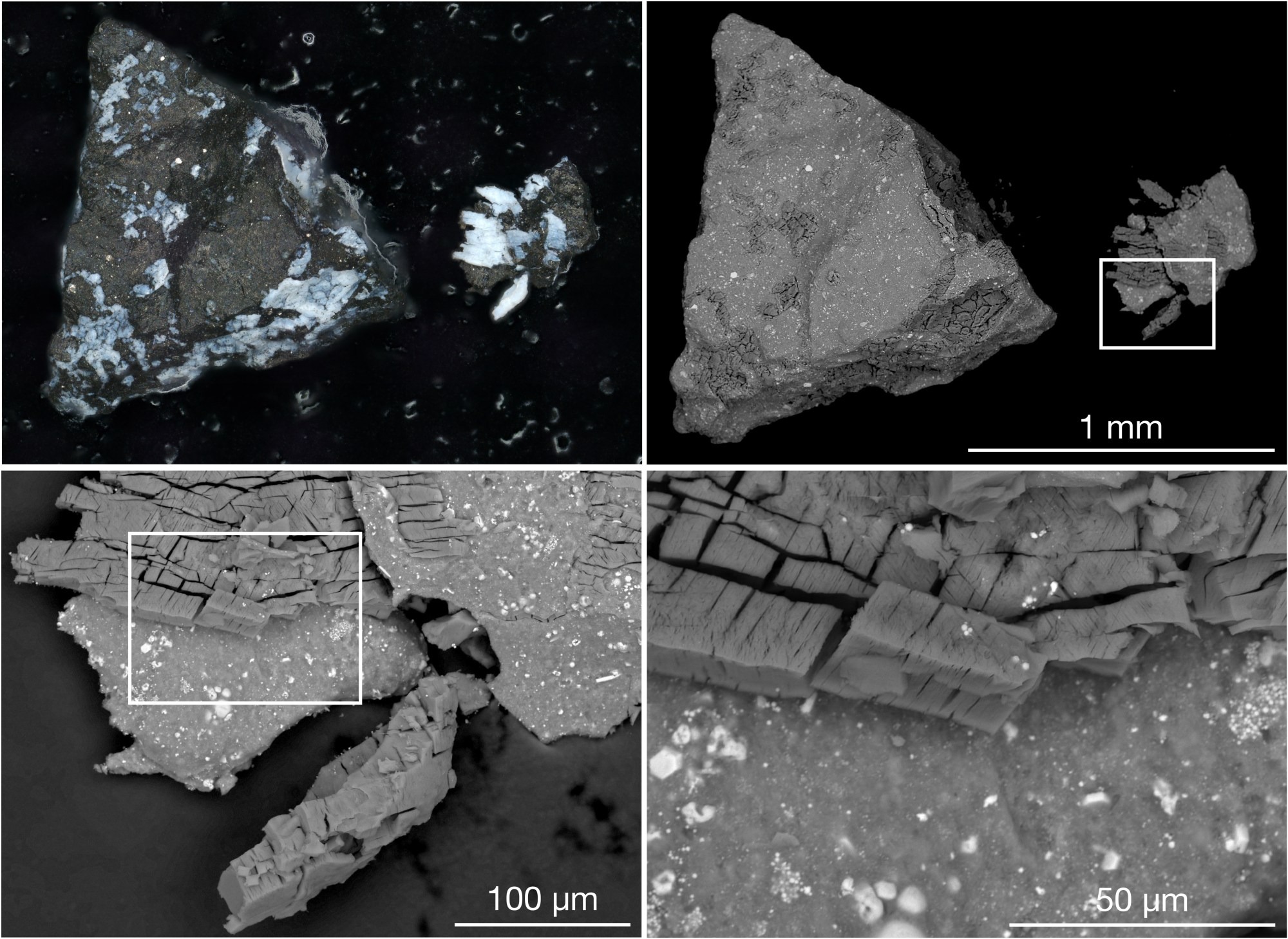 campioni asteroide Bennu