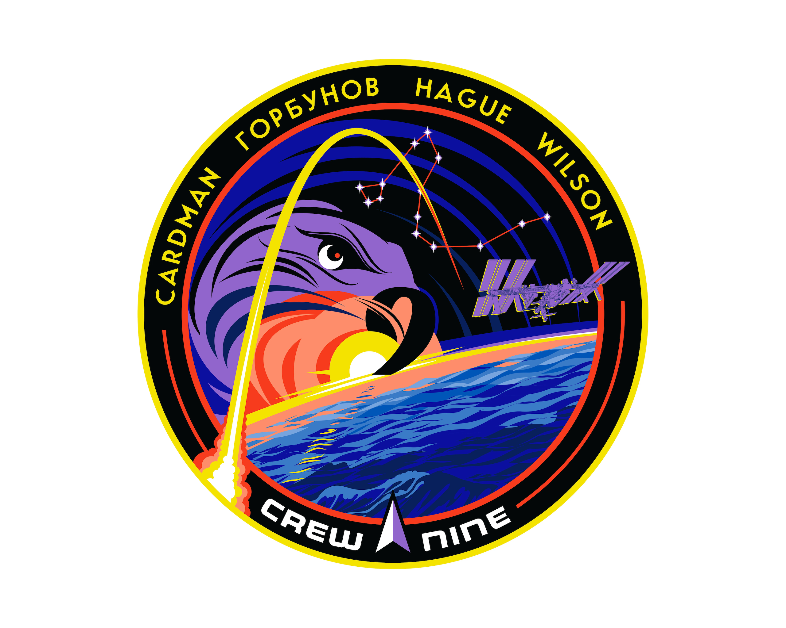 NASA SpaceX Mission Patch Crew-9