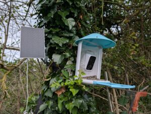 Segnatevi questa idea regalo, si chiama Birdfy Feeder e vi stupirà 3