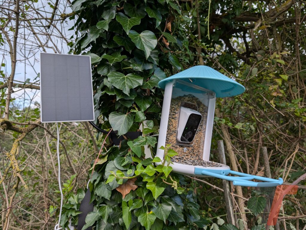 Segnatevi questa idea regalo, si chiama Birdfy Feeder e vi stupirà 19