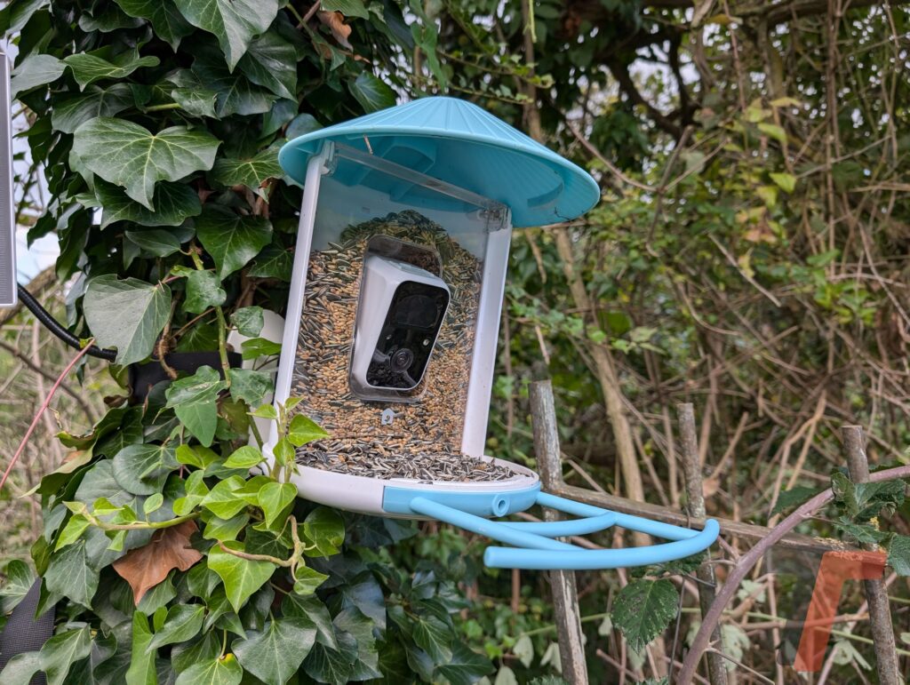 Segnatevi questa idea regalo, si chiama Birdfy Feeder e vi stupirà 1