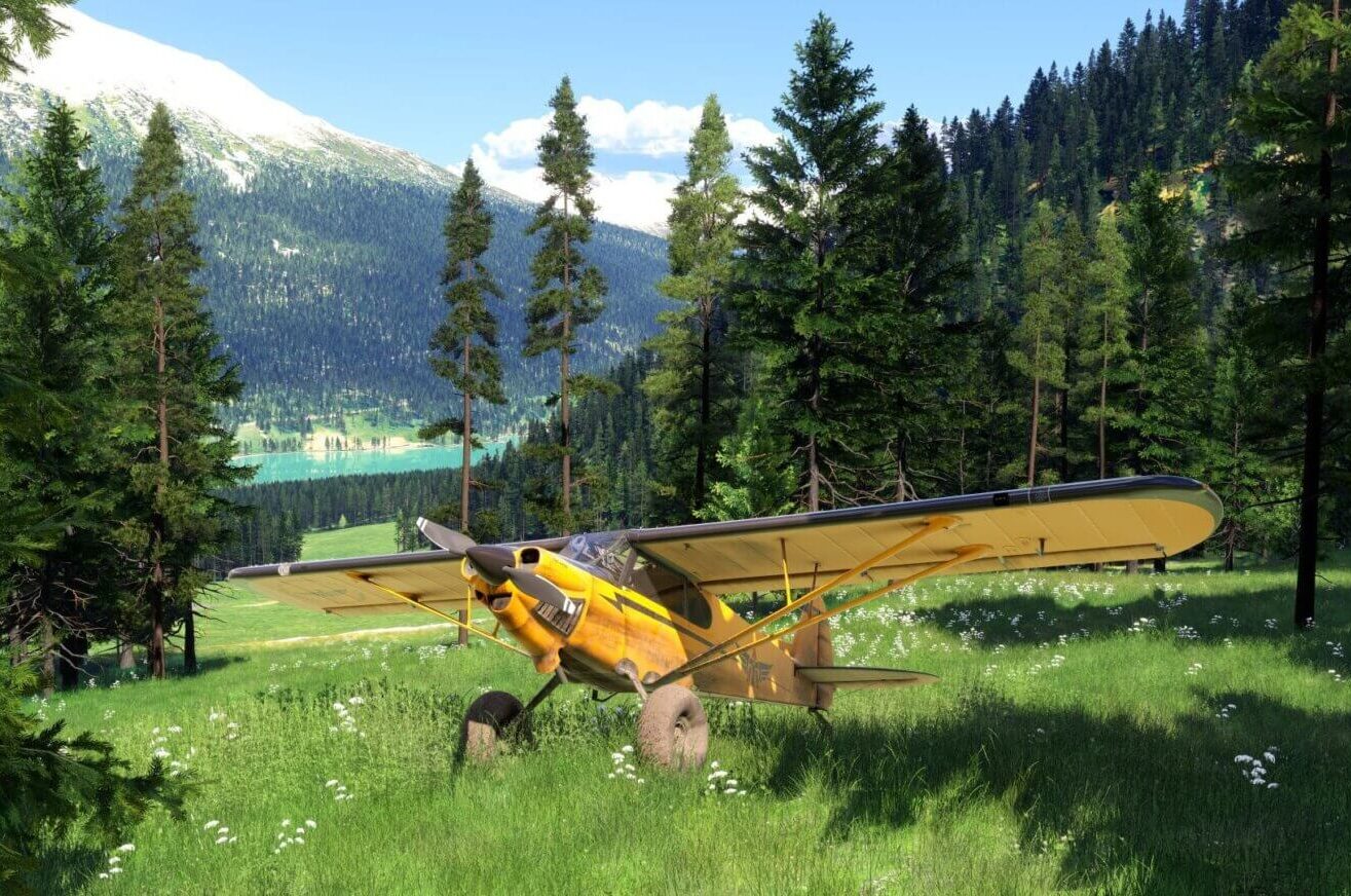 Microsoft Flight Simulator 2024