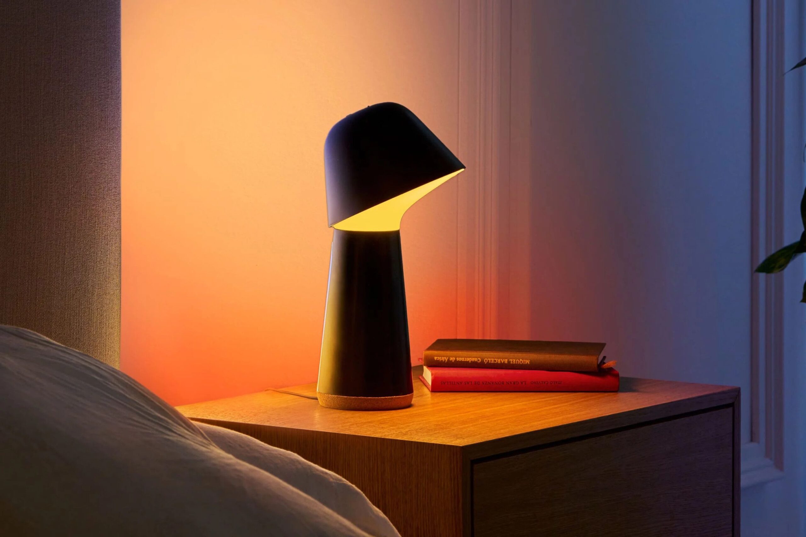 Philips Hue Twilight