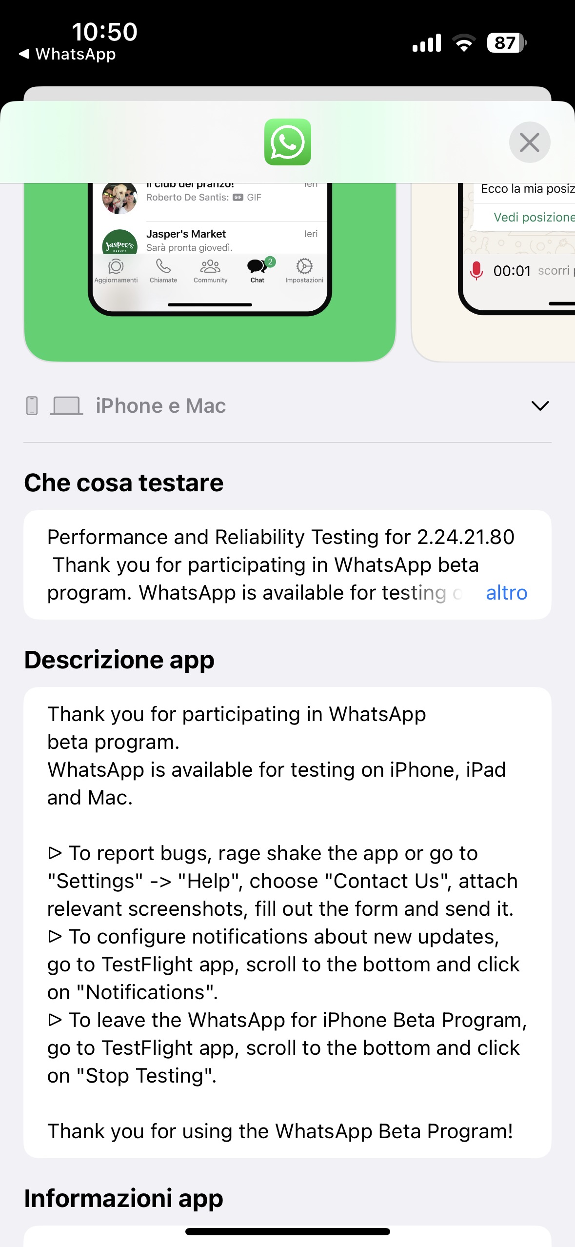 WhatsApp Testflight iPad