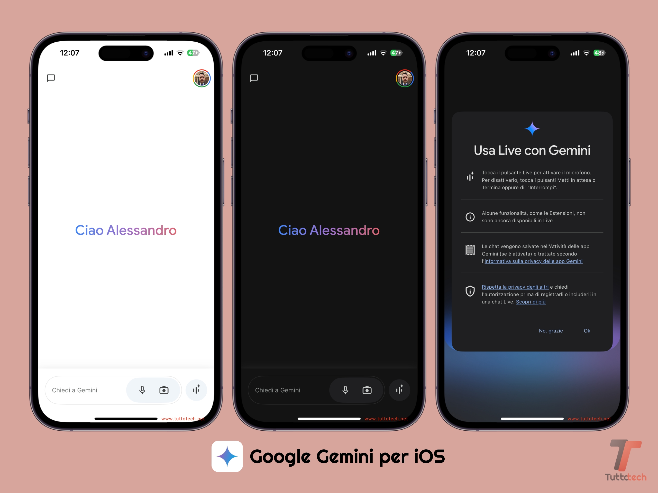 Google Gemini per iOS - 02 Schermata iniziale