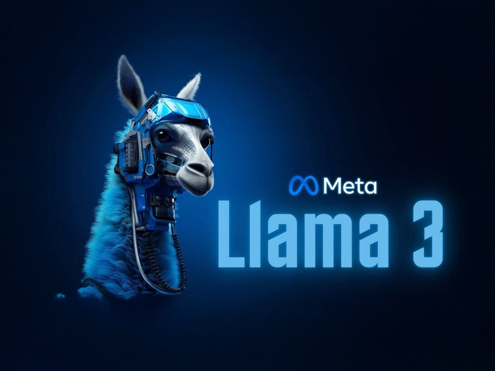 Llama meta