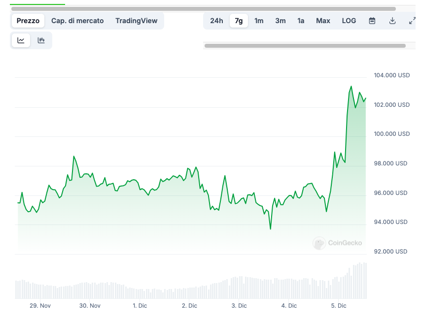 Bitcoin dicembre 2024