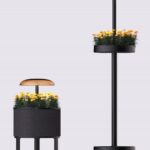 Una nuova lampada LG per fare giardinaggio in salotto è in arrivo al CES 2025 2