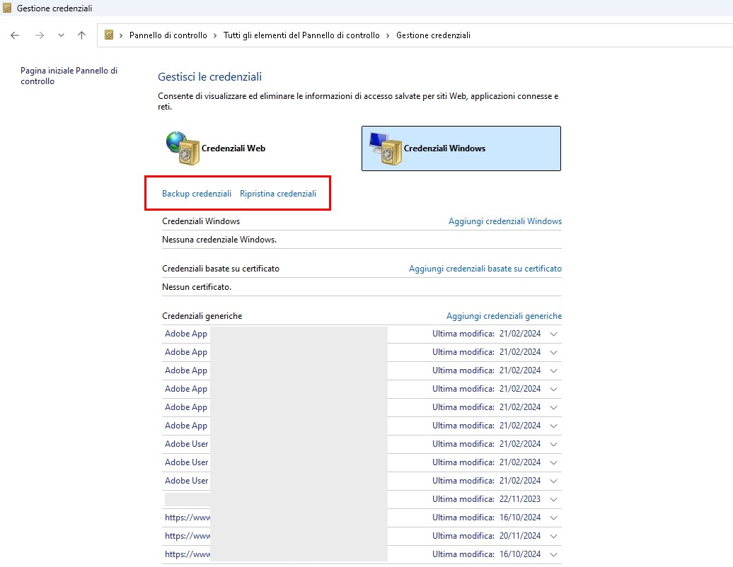 Windows 11 backup credenziali